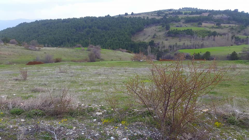 Tosya Çeltikçi Köyü Resimleri 11