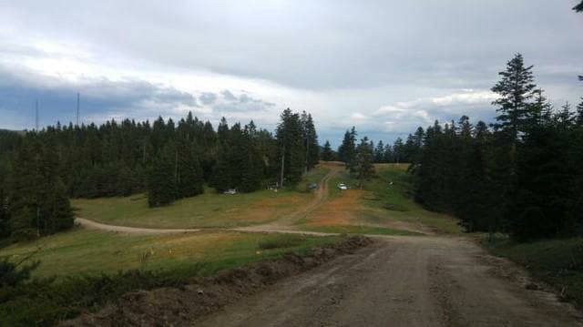 Tosya Çeltikçi Köyü Resimleri 2