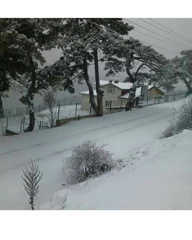 Tosya Çeltikçi Köyü Resimleri 3