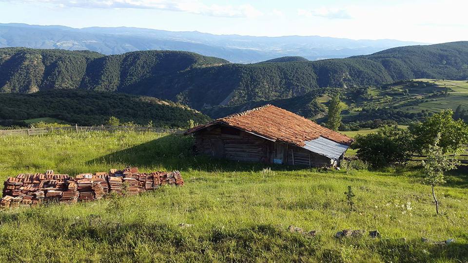 Tosya Çeltikçi Köyü Resimleri 4