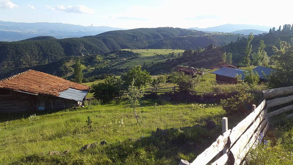 Tosya Çeltikçi Köyü Resimleri 6