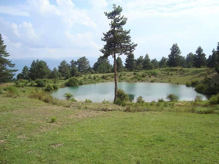 Tosya Çeltikçi Köyü Resimleri 8