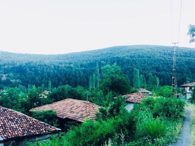 Tosya Dağardı Köyü Resimleri 1