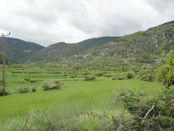 Tosya Dağardı Köyü Resimleri 2