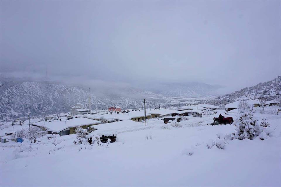 Tosya Dağardı Köyü Resimleri 4