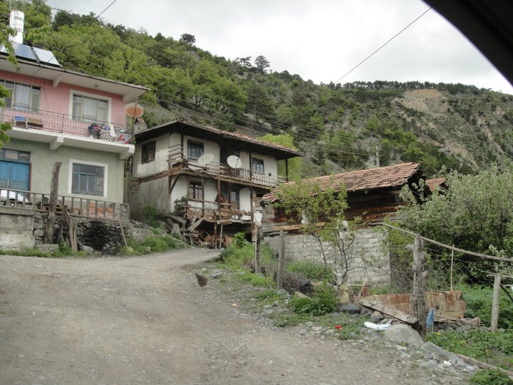 Tosya Dağardı Köyü Resimleri 7