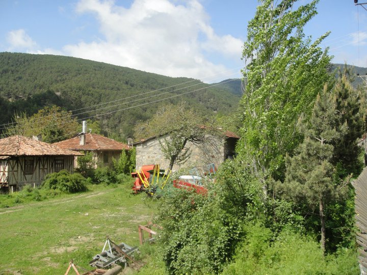 Tosya Dağardı Köyü Resimleri 9