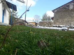 Akıncılar Aşağıyeniköy Resimleri 12