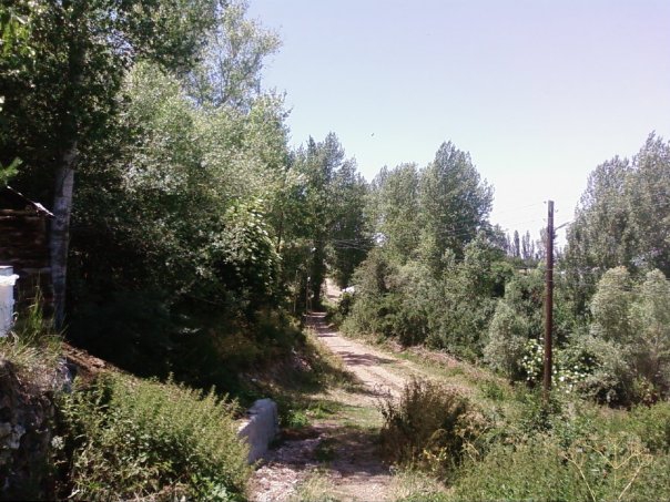 Akıncılar Aşağıyeniköy Resimleri 19