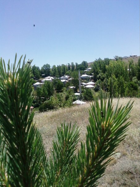 Akıncılar Aşağıyeniköy Resimleri 20