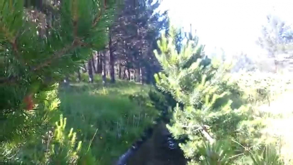 Akıncılar Aşağıyeniköy Resimleri 21