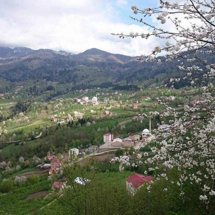 Şalpazarı Simenli  Köyü Resimleri 21