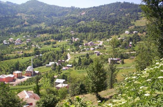 Şalpazarı Simenli  Köyü Resimleri 36