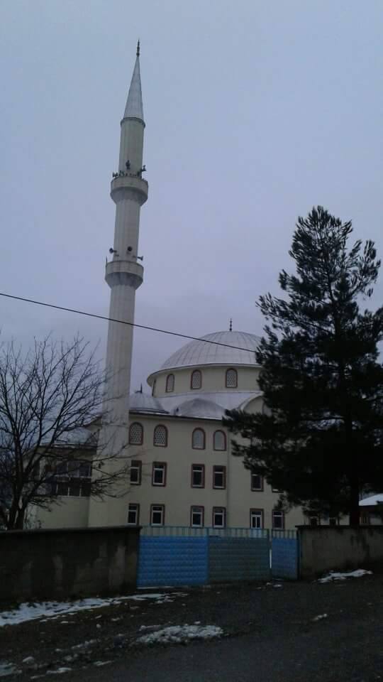 Tosya Kuşçular Köyü Resimleri 9