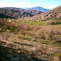 Bayburt Alapelit Köyü Resimleri 10