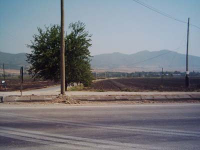 Adana Ceyhan Kuzucak Köyü Resimleri 10