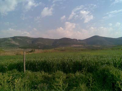 Adana Ceyhan Kuzucak Köyü Resimleri 11