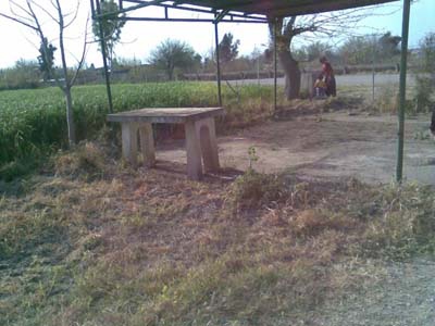 Adana Ceyhan Kuzucak Köyü Resimleri 12