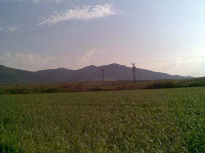 Adana Ceyhan Kuzucak Köyü Resimleri 13