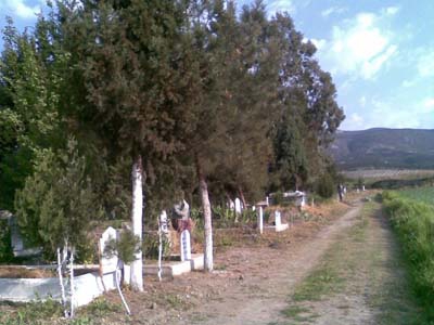 Adana Ceyhan Kuzucak Köyü Resimleri 14