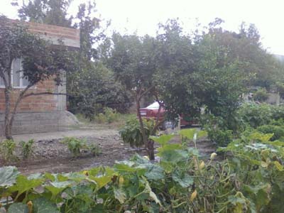 Adana Ceyhan Kuzucak Köyü Resimleri 15