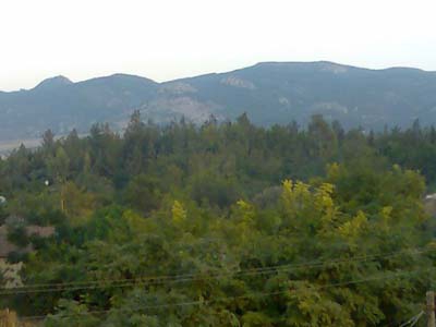 Adana Ceyhan Kuzucak Köyü Resimleri 16