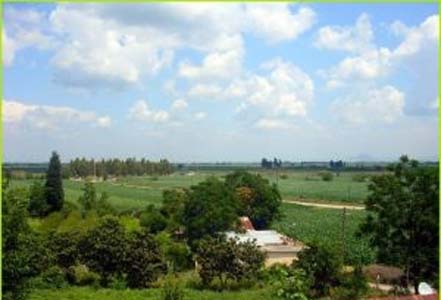 Adana Ceyhan Kuzucak Köyü Resimleri 6