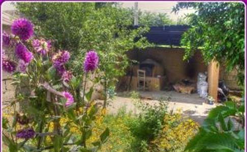 Adana Ceyhan Kuzucak Köyü Resimleri 7