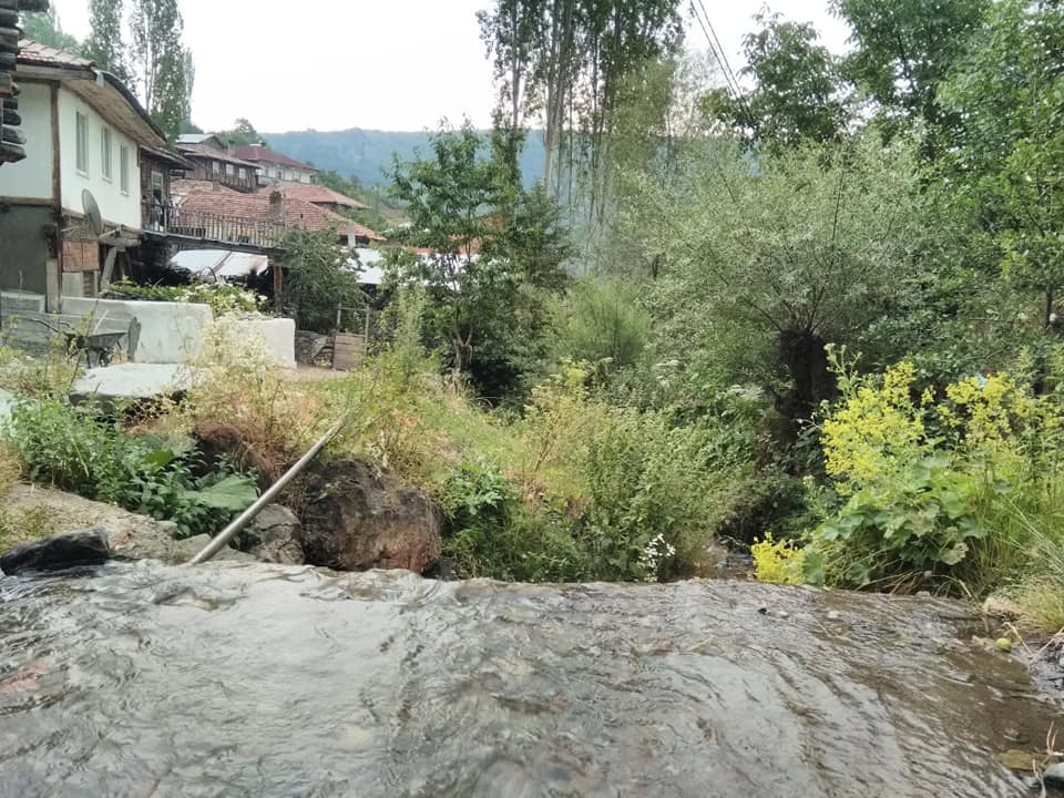 Tosya Özboyu Köyü Resimleri 12