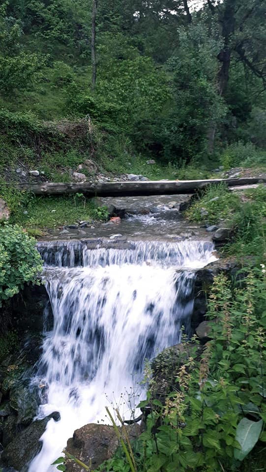 Tosya Özboyu Köyü Resimleri 2