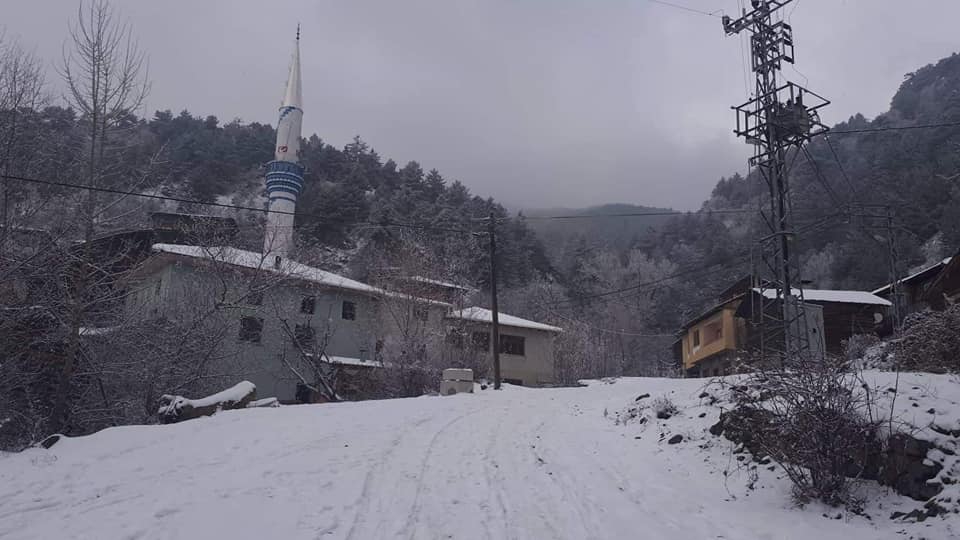 Tosya Özboyu Köyü Resimleri 3