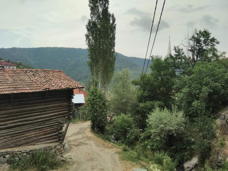 Tosya Özboyu Köyü Resimleri 5