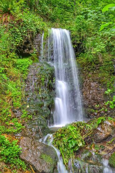 Şalpazarı Sütpınar Köyü Resimleri 22