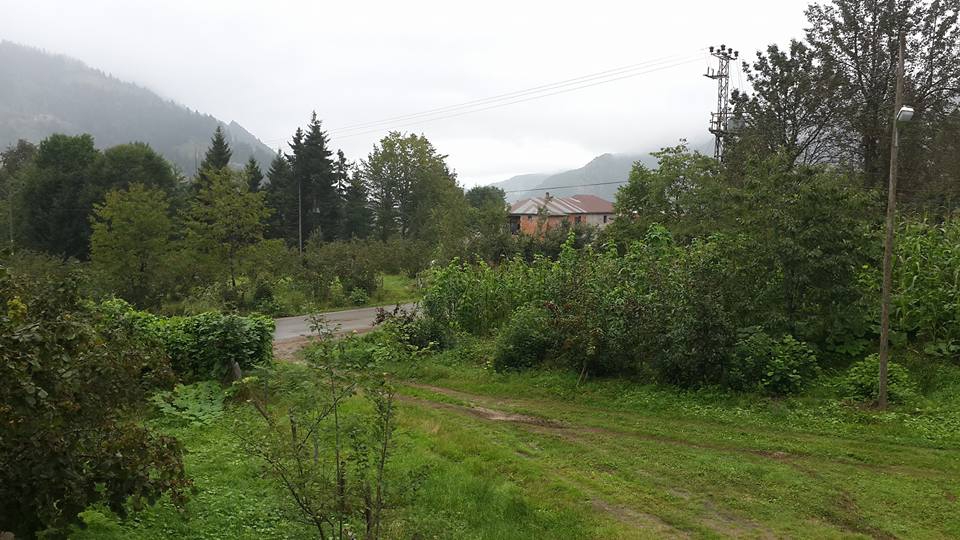 Şalpazarı Sütpınar Köyü Resimleri 23