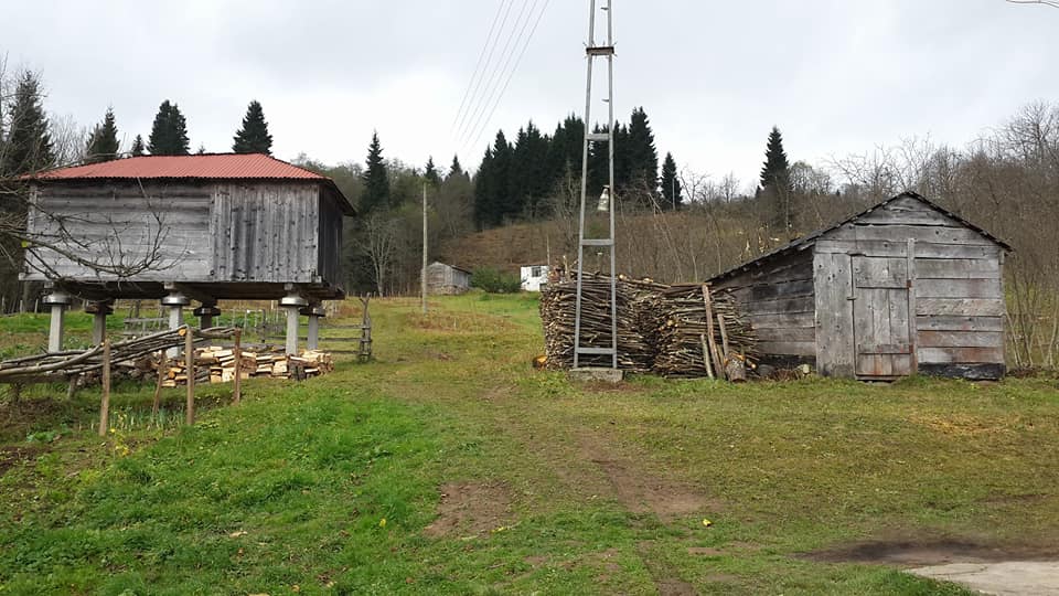 Şalpazarı Sütpınar Köyü Resimleri 27