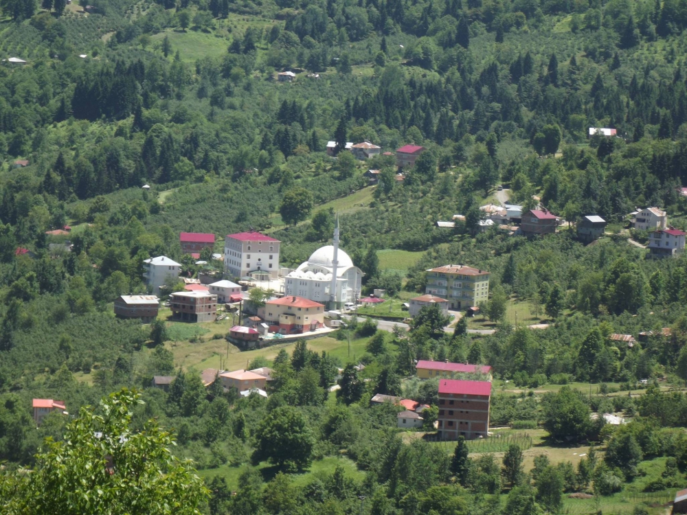 Şalpazarı Sütpınar Köyü Resimleri 42