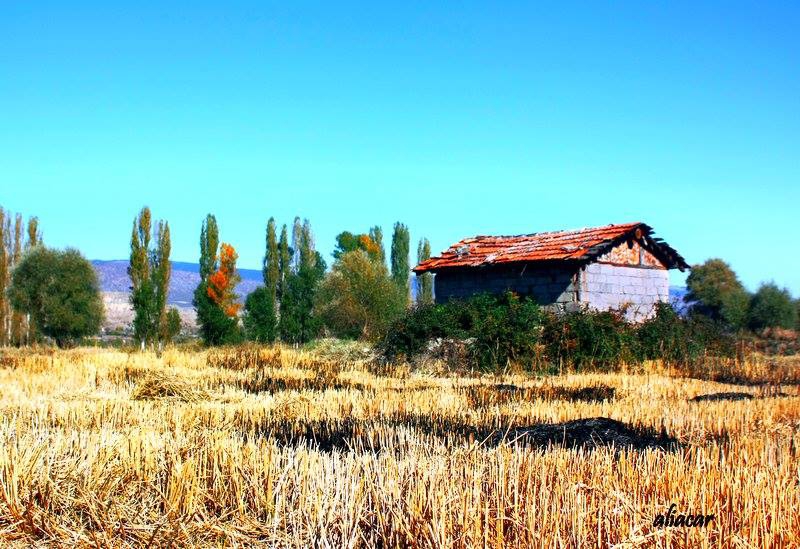 Tosya Sofular Köyü Resimleri 10