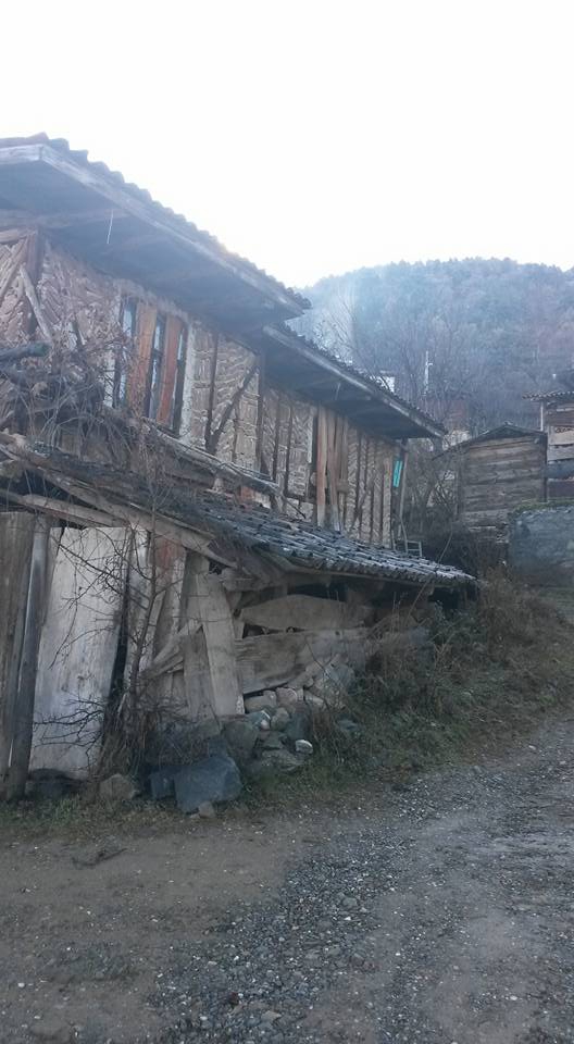 Tosya Sofular Köyü Resimleri 3