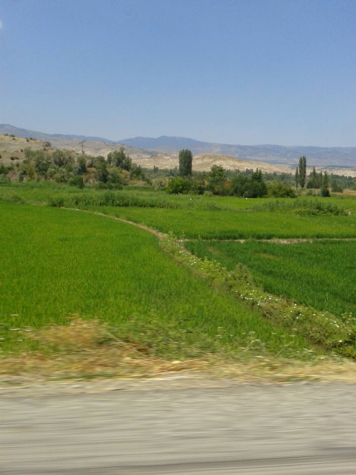 Tosya Sofular Köyü Resimleri 8