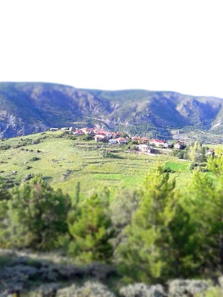 Tosya Yağcılar Köyü Resimleri 1