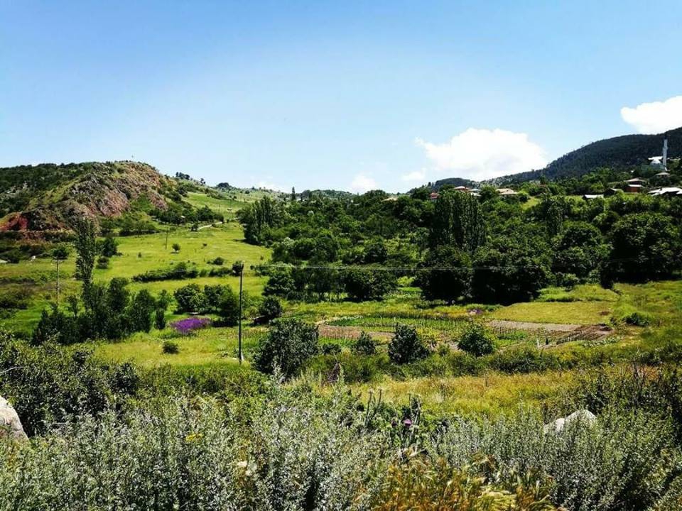 Tosya Yağcılar Köyü Resimleri 5