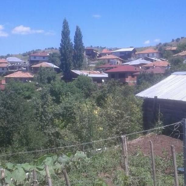 Tosya Yağcılar Köyü Resimleri 6