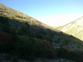 Bayburt Çalıdere Köyü Resimleri 3