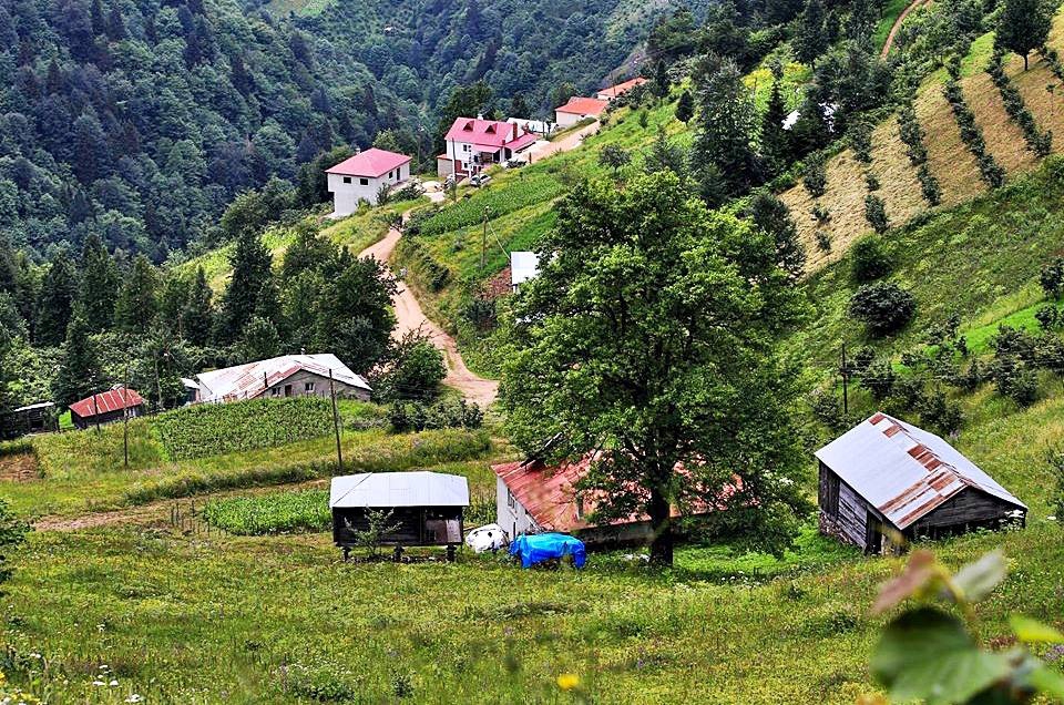 Şalpazarı Sinlice Köyü Resimleri 1