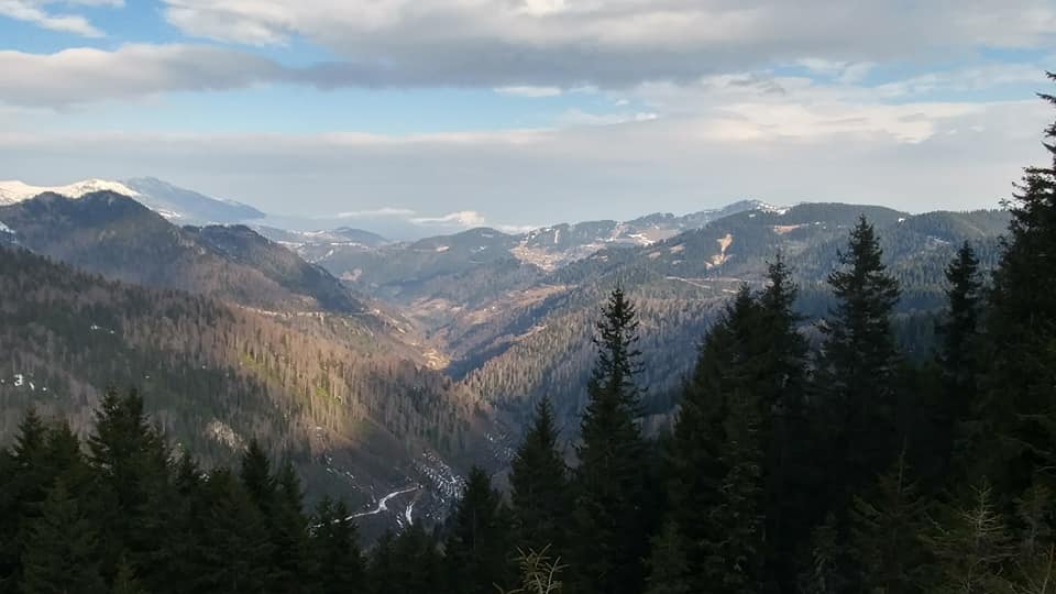 Şalpazarı Sinlice Köyü Resimleri 15