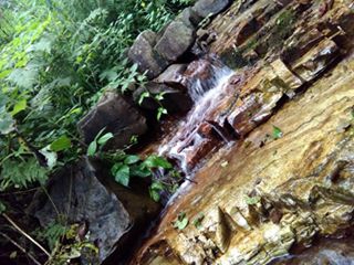 Şalpazarı Sinlice Köyü Resimleri 17