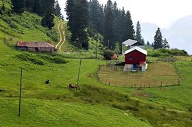 Şalpazarı Sinlice Köyü Resimleri 18