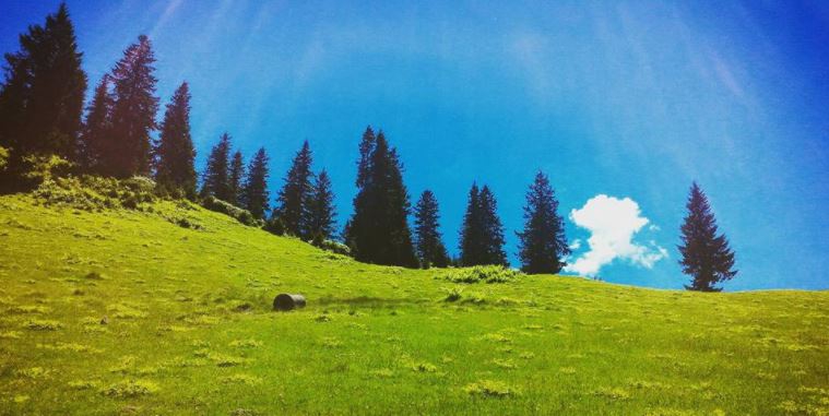 Şalpazarı Sinlice Köyü Resimleri 19