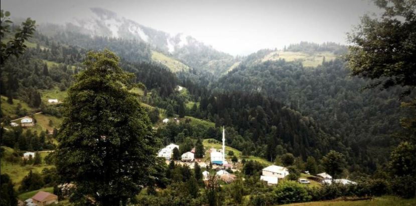 Şalpazarı Sinlice Köyü Resimleri 20