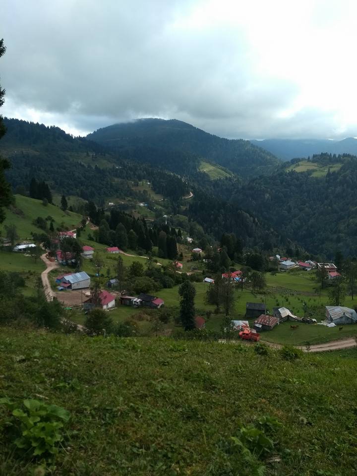 Şalpazarı Sinlice Köyü Resimleri 24